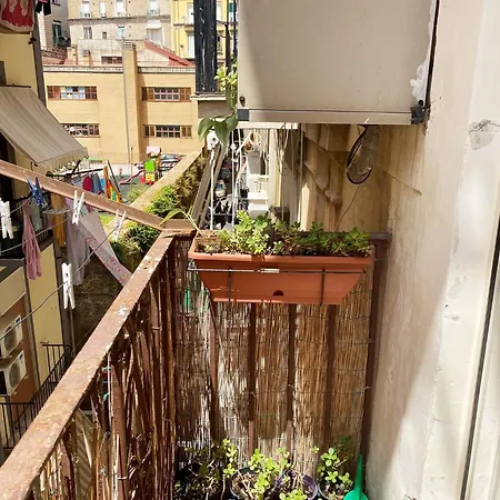 Vecchia Pignasecca 公寓
