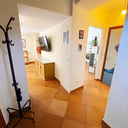 Vecchia Pignasecca Appartamento