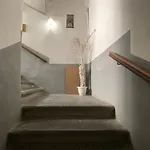 Vecchia Pignasecca Apartmán